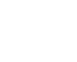 annioutlife Logo